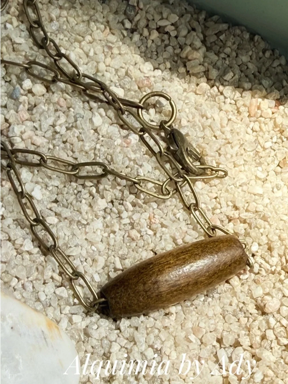 Alquimia Gold-Tone Chain Necklace with Brown Wood Bead